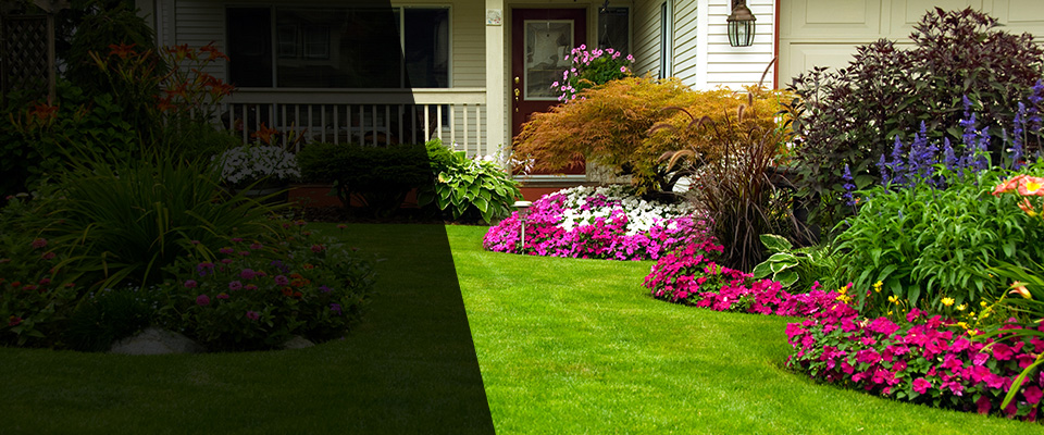 Penngrove Landscapers