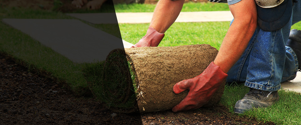 Penngrove Landscapers